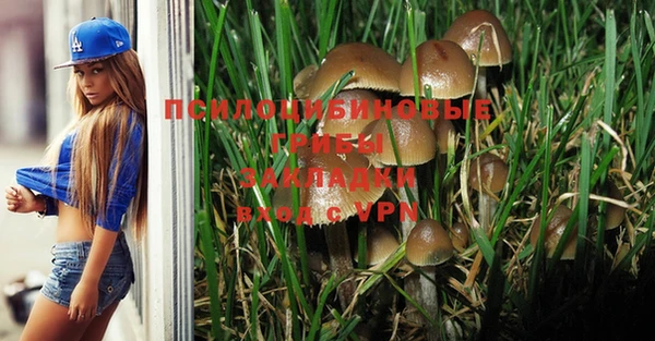 каннабис Абаза