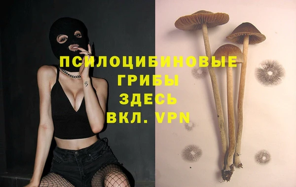 каннабис Абаза