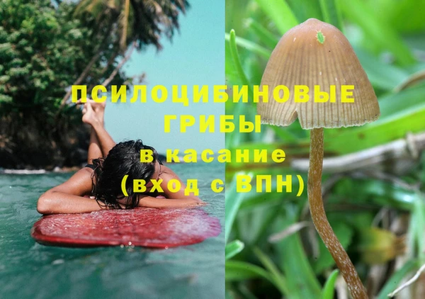 крисы Абинск