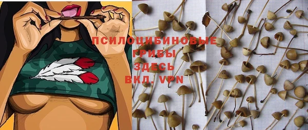 каннабис Абаза