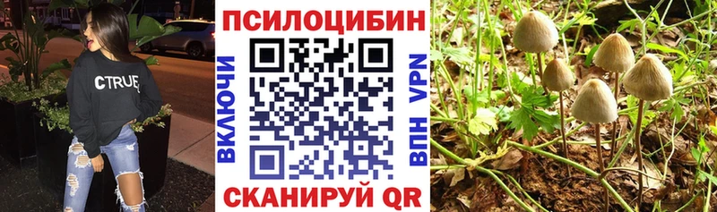 Псилоцибиновые грибы Psilocybine cubensis  Нюрба 